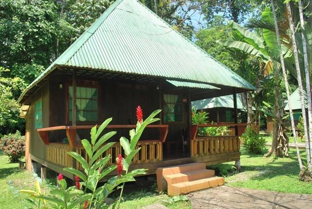 Pizote Lodge Puerto Viejo de Talamanca Exterior photo