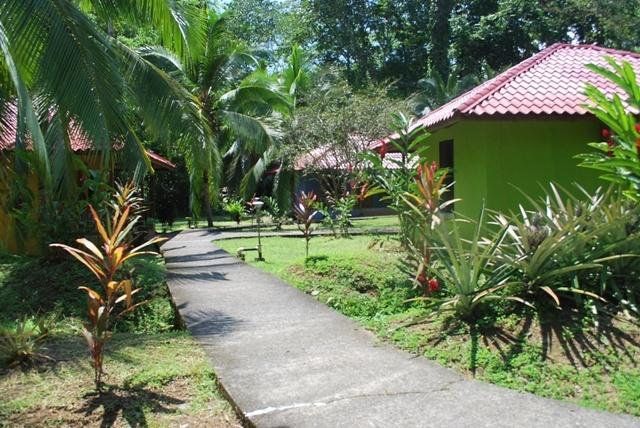 Pizote Lodge Puerto Viejo de Talamanca Exterior photo