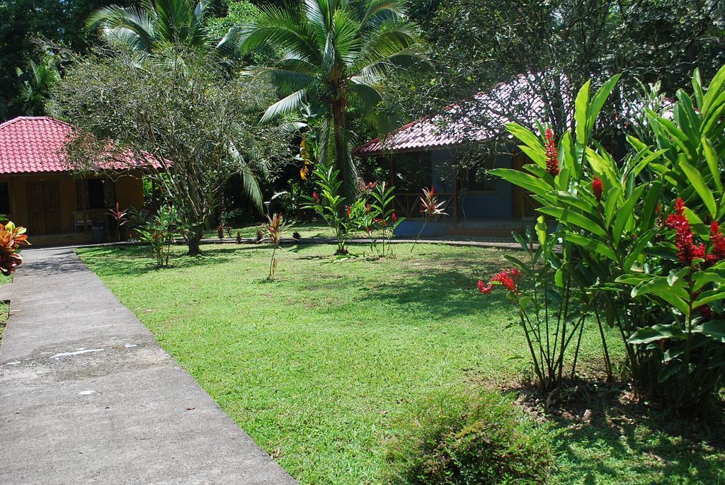 Pizote Lodge Puerto Viejo de Talamanca Exterior photo