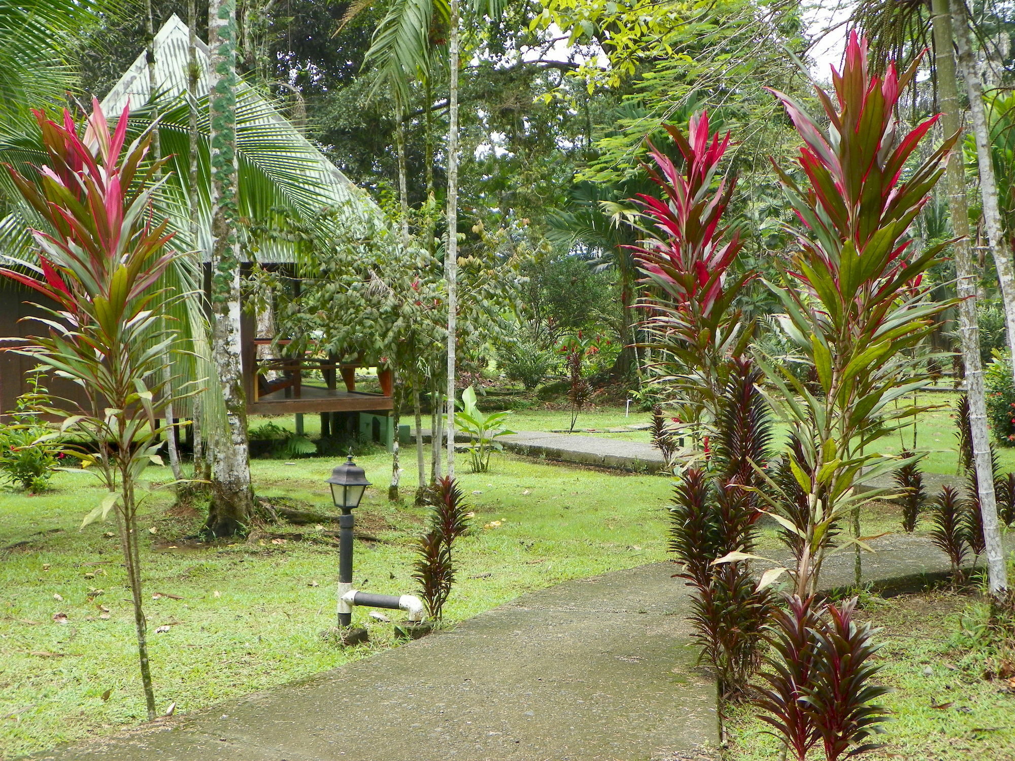 Pizote Lodge Puerto Viejo de Talamanca Exterior photo